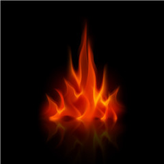 Vector Red Fire Flame Bonfire  Isolated on Background