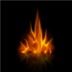 Vector Yellow Orange Fire Flame Bonfire  Isolated on Background