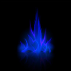Vector Blue Fire Flame Bonfire  Isolated on Background