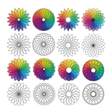 color wheel flowers