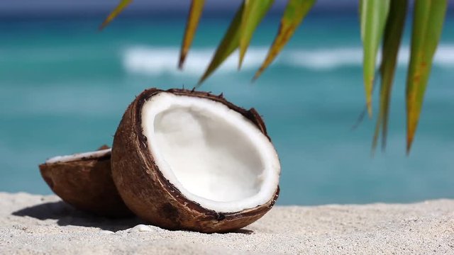 Two halfs of cracked brown coconut on white sandy beach with palms leaf and turquoise sea background, closeup
