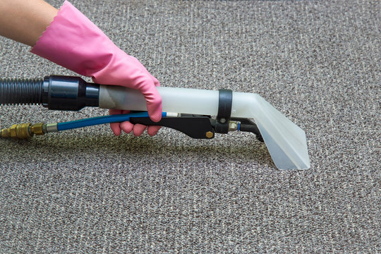 Carpet chemical cleaning with professionally extraction method. Early spring cleaning or regular clean up.