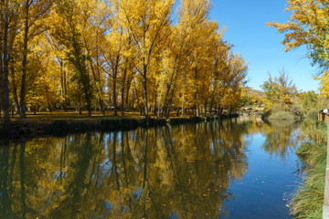 Autumn's water reflections.