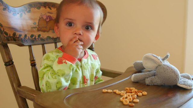 Cute toddler eating cheerios in his highchair with stuffed animal