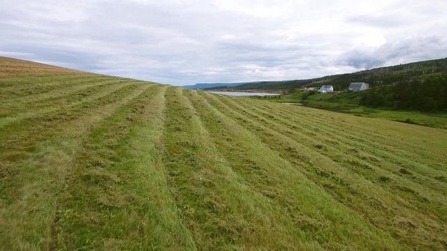 Aerial of farmer cuts the grass in field by ocean coastline
