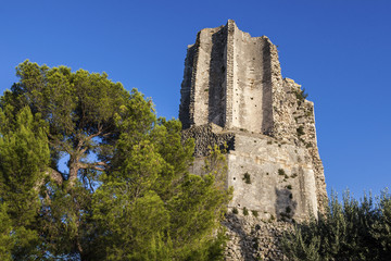 Fototapeta na wymiar Magne Tower in Nimes
