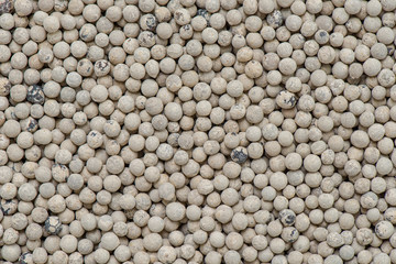 White peppercorn spice for background