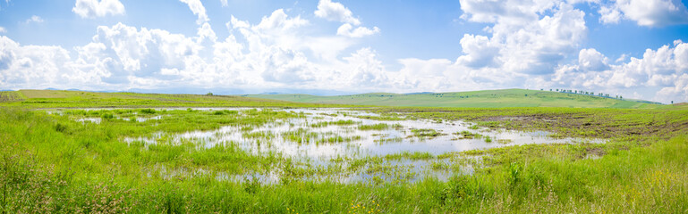 Puddle in a flooded farmland with fresh green grass and fields on the background suggesting wet...