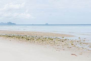 Fototapeta na wymiar Sea and sand beach