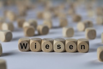 Wiesen - Holzwürfel mit Buchstaben