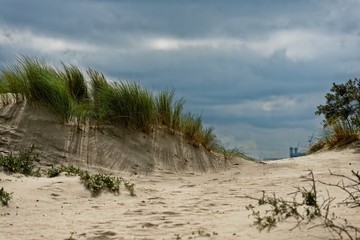 Sandy beach with grass