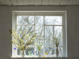 spring flowers on the windowsill