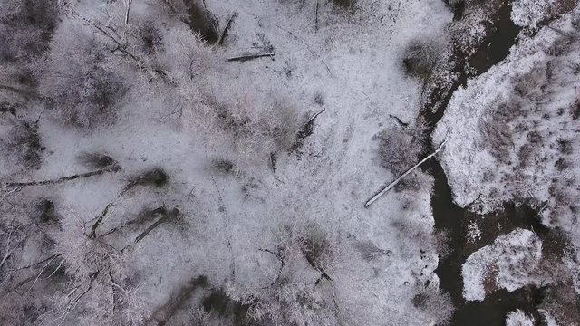 Aerial shot over river and snowy trees in winter
