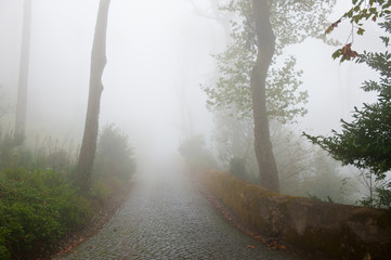 Autumn, Thick fog. Road to nowhere. Park near Pena National Palace (Palacio Nacional da Pena). Sintra. Portugal