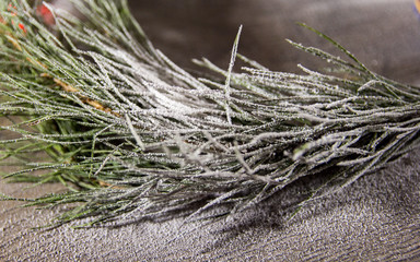 one toy Christmas tree as the background to a Christmas card substrate. Background for 