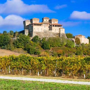 Vineyards and beauiful medieval castle of Torrechiara, Italy