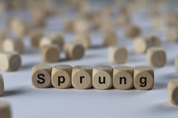 Sprung - Holzwürfel mit Buchstaben