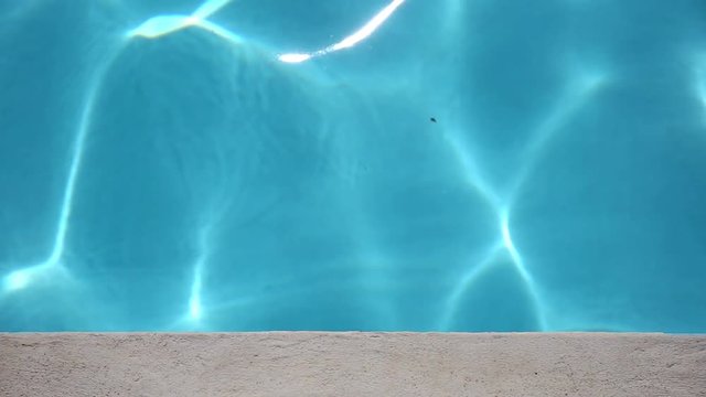 Edge of swimming pool 
