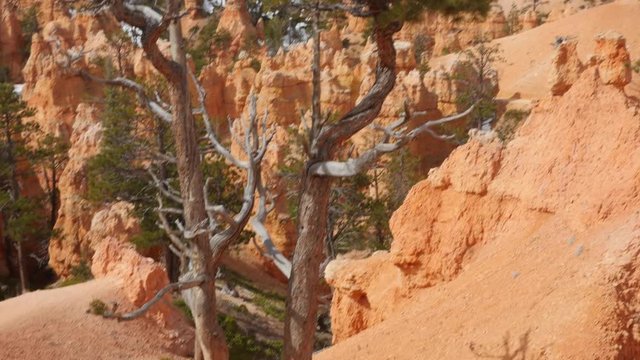 Families see hoodoos in Bryce Canyon National Park