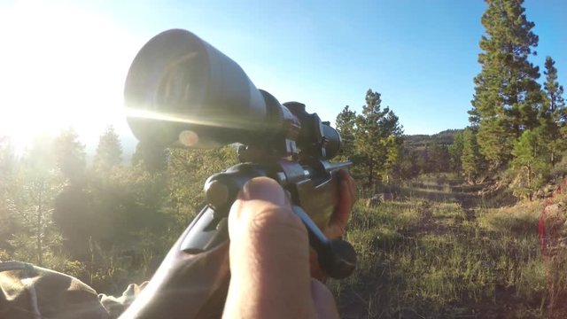 A hunter walks quietly through the woods