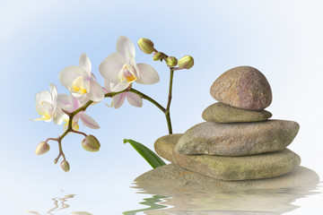 weiße Orchidee mit Steinpyramide