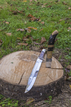 Hunting knives thrust in the tree stump