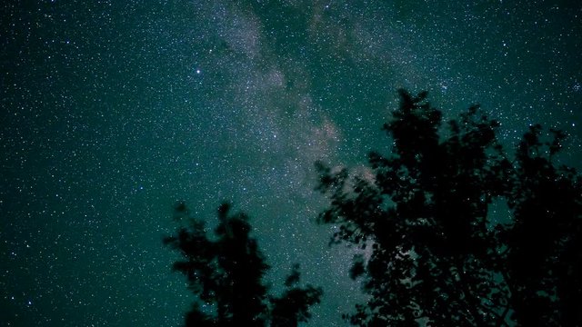 An incredible timelapse of the colorful milky way above the trees at night