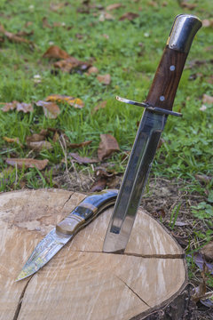 Hunting knives thrust in the tree stump