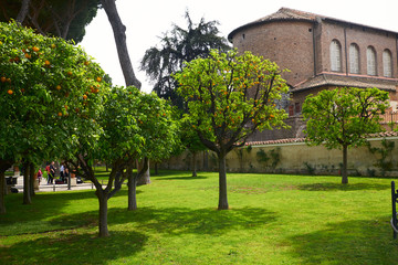Orange tree garden in Rome. Summer