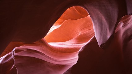 Художник сама природа