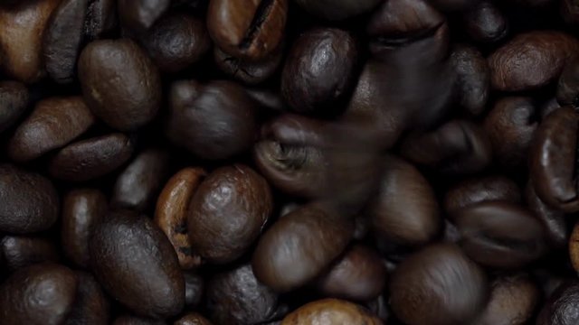 Rotating and falling Coffee beans. Slow Motion
