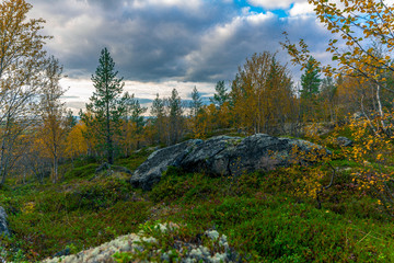 Autumn tundra.Bright and colorful Northern nature in autumn