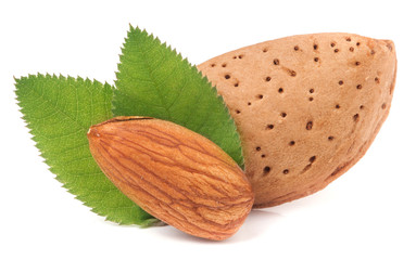 almonds with leaf isolated on white background