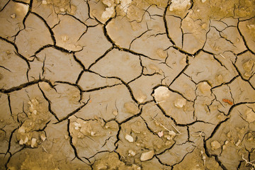 Dry earth in the desert.