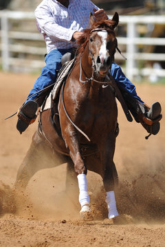 The front view of a rider on a horseback running ahead and stopping the horse in the dust.