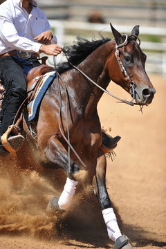 A close up view of a rider and horse sliding in the dirt