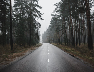 Empty asphalt curve road in a foggy day in the wood