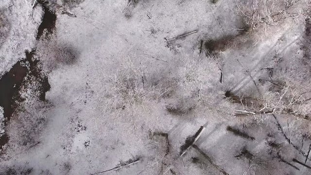 High aerial shot of beautiful snowy winter trees in forrest