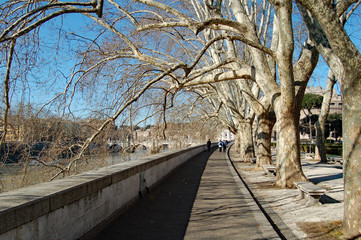 Rome Italy walkway beside river