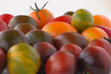 Yellow tomato with green twig on background tomatoes of differen