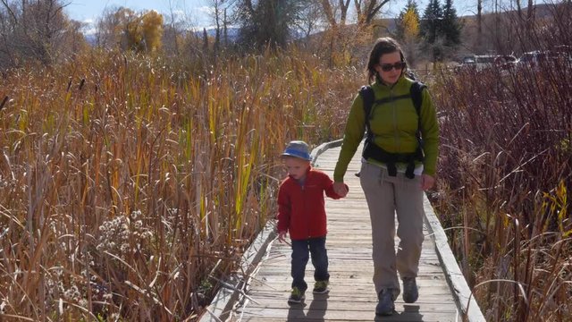 A family walking on boardwalk through botanical garden