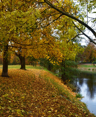 road in autumn park by the river