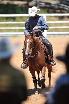 The front view of a rider in cowboy chaps and boots on a horseback