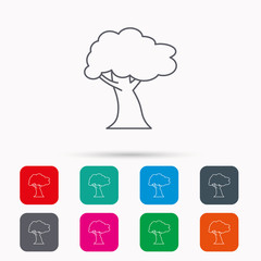 Oak tree icon. Forest wood sign. Nature environment symbol. Linear icons in squares on white background. Flat web symbols. Vector