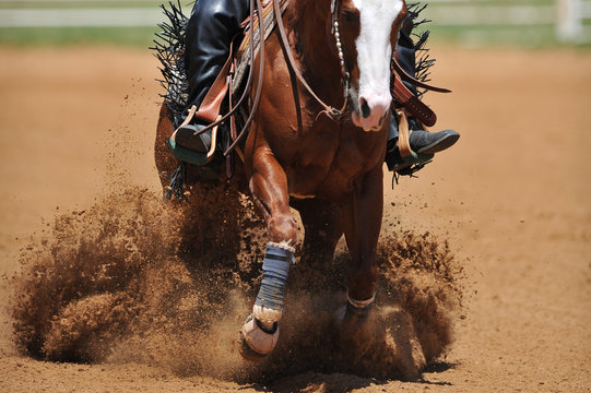 The front view of a rider in cowboy chaps and boots on a horseback running ahead and stopping the horse in the dust.