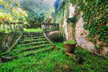 stairs in an abandoned garden in Tuscany