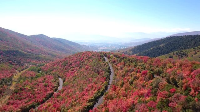 Aerial shot of cars driving on mountain road with fall colors