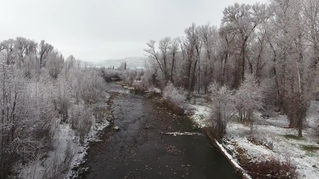 Aerial shot of beautiful snowy river and tall trees