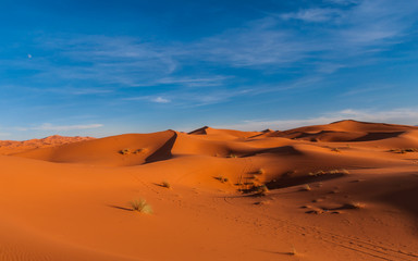 Obraz na płótnie Canvas Abendstimmung über den Dünen der Sahara bei Merzouga (Erg Chebbi); Marokko