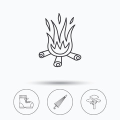 Pine tree, bonfire and hiking boots icons. Umbrella linear sign. Linear icons in circle buttons. Flat web symbols. Vector